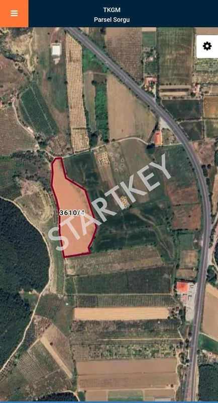 İzmir Selçuk Arvalya Mevkii Satılık Tarla