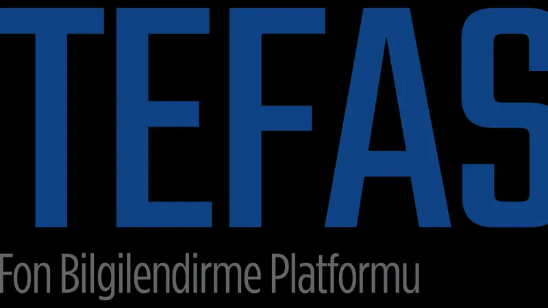 FON PİYASASI TERİMLERİ- FONDA, NE, NE DEMEK?