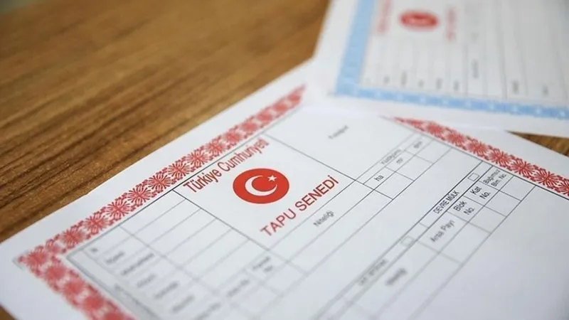 Hisseli Tapu Alınır mı, Riskleri Nelerdir?