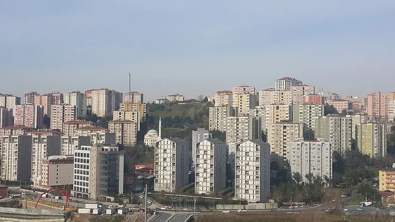 Hamidiye Rayiç Bedel Sorgulama Rehberi (2026–2029)