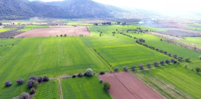TÜRKİYE'DE NERELER DE ARSA VE TARLA YATIRIMI YAPILMALIDIR.
