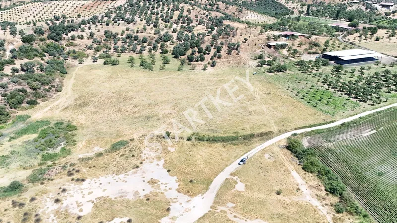 Aydın Ortaklar'da Satılık 3 Parsel Tarla