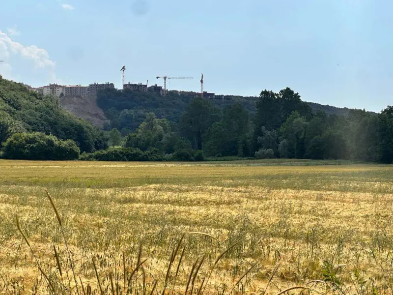 REMAX ŞABAN KARAKAŞ KORUCUKTA 11588M2 İMARA YAKIN YATIRIM FIRSATI