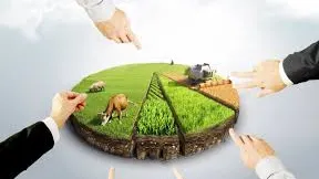 Hisseli Tapu veya Kat Karşılığı Arsa Alımı Riskler, Fırsatlar ve Hukuki Re