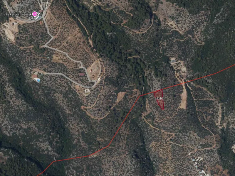 MUĞLA İNLİCE SATILIK 2335 M2 ZEYTİNLİK- REMAX KAYA